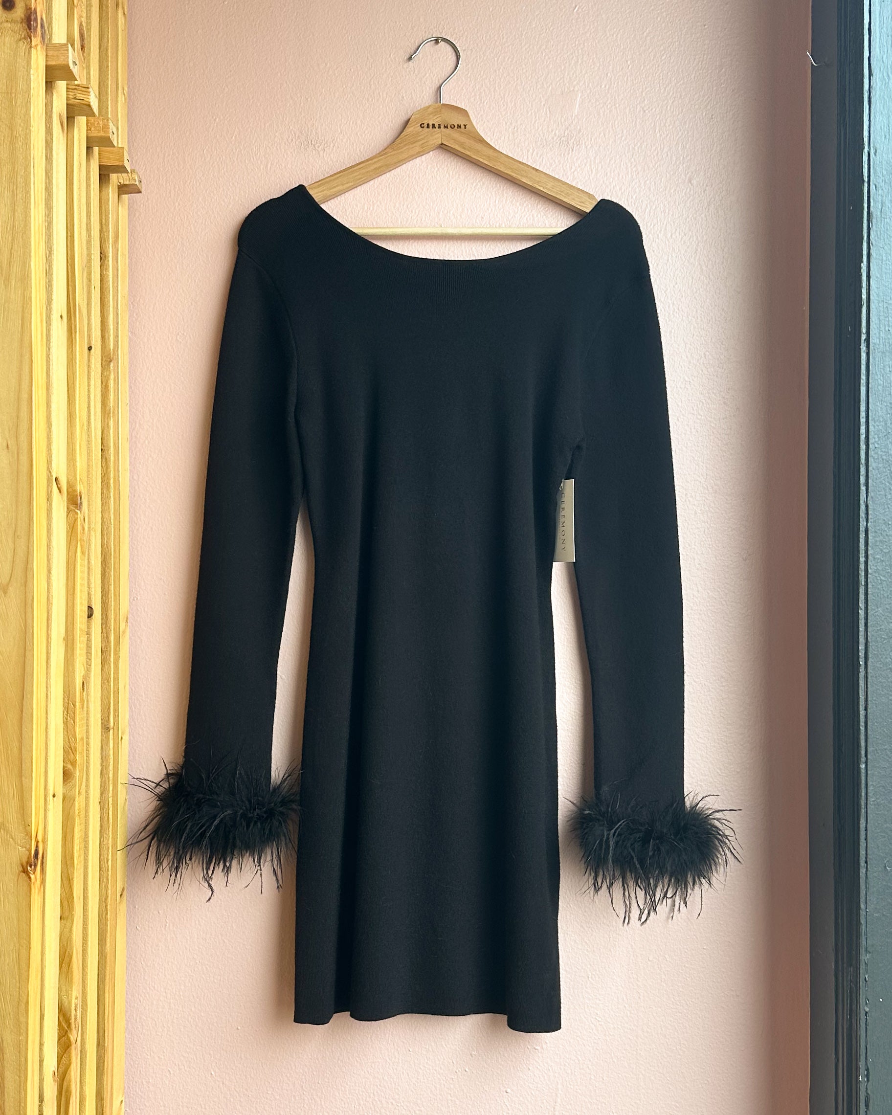 Sacha Feather Mini Dress