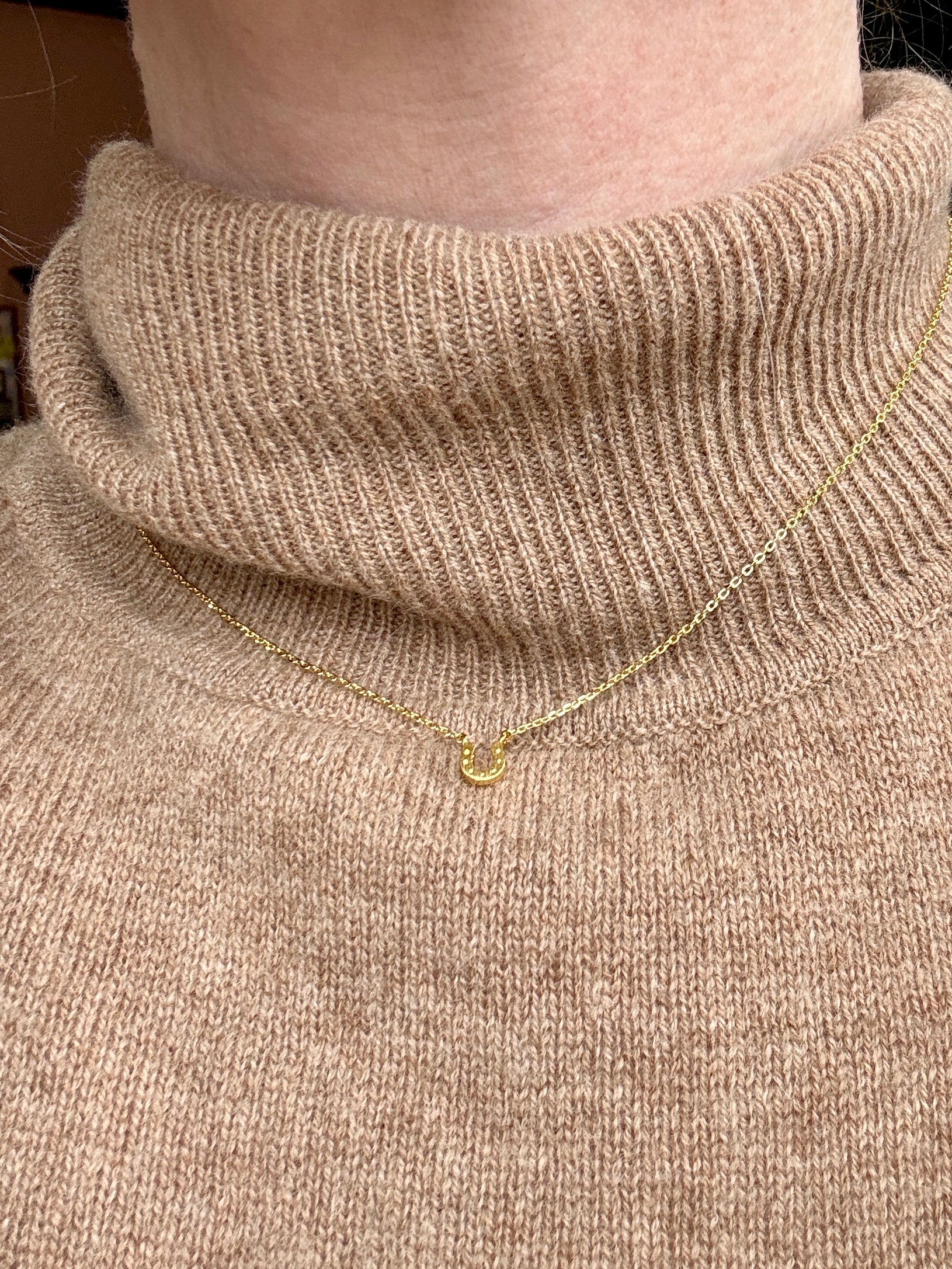 Tiny Gold Horseshoe Necklace