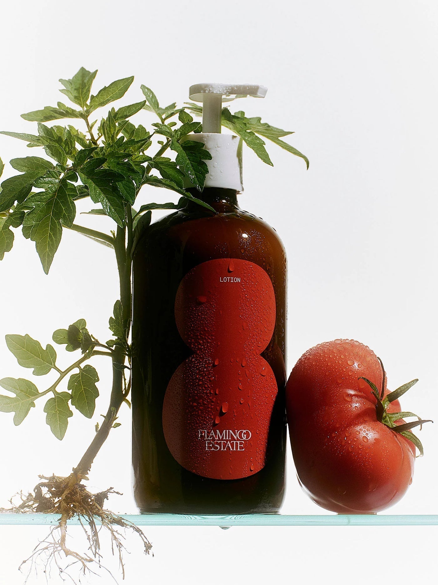 ROMA HEIRLOOM TOMATO BODY LOTION BY FLAMINGO ESTATE