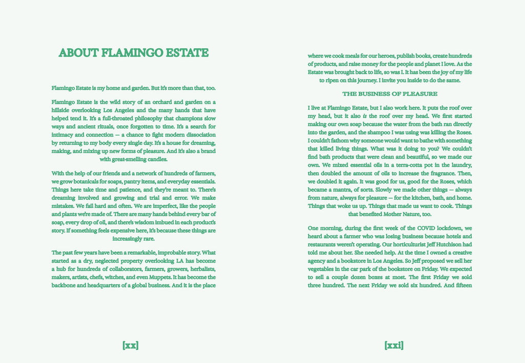FLAMINGO ESTATE: THE GUIDE TO BECOMING ALIVE