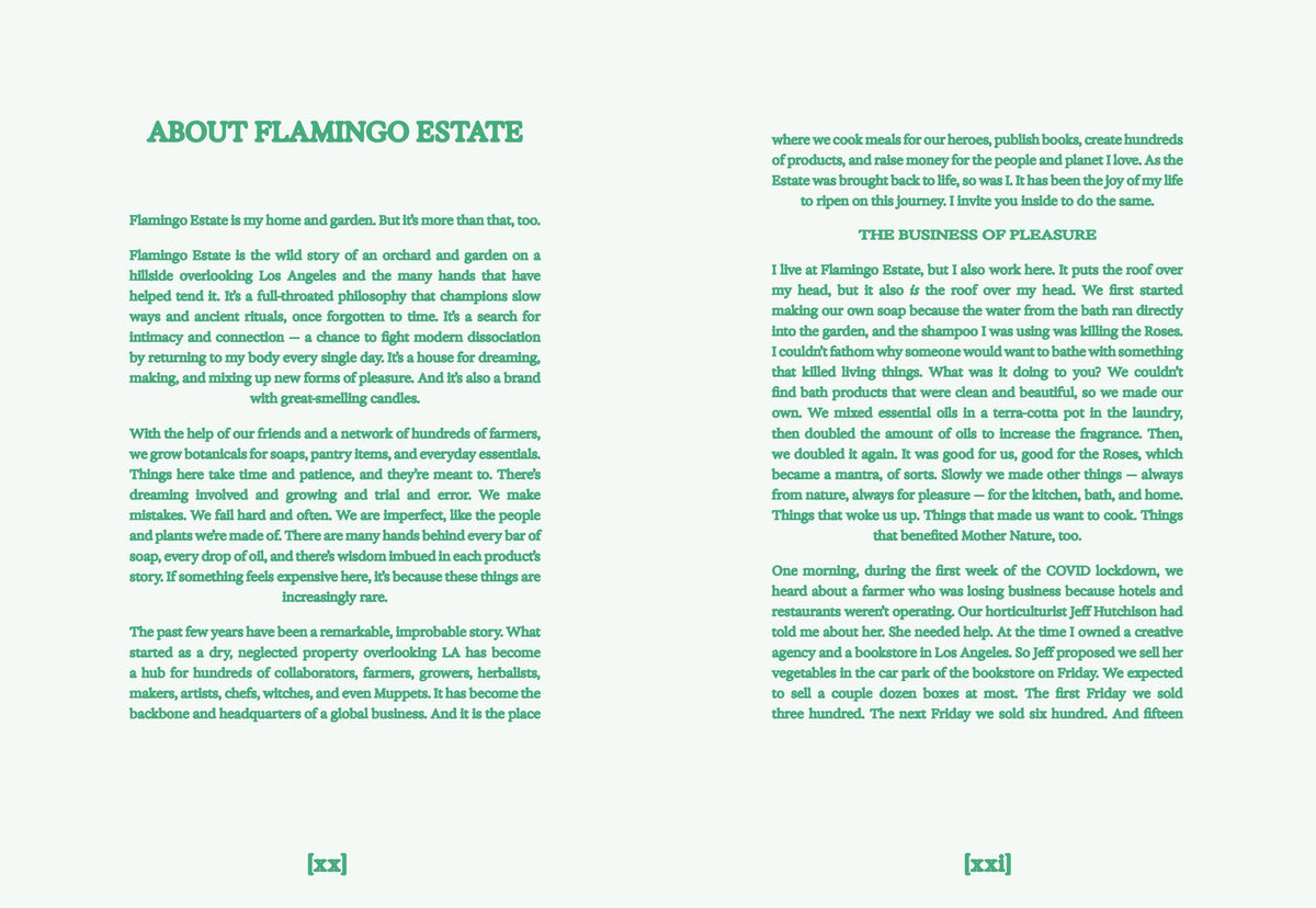 FLAMINGO ESTATE: THE GUIDE TO BECOMING ALIVE