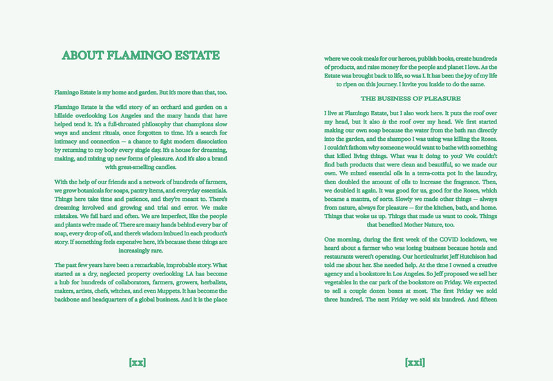 FLAMINGO ESTATE: THE GUIDE TO BECOMING ALIVE