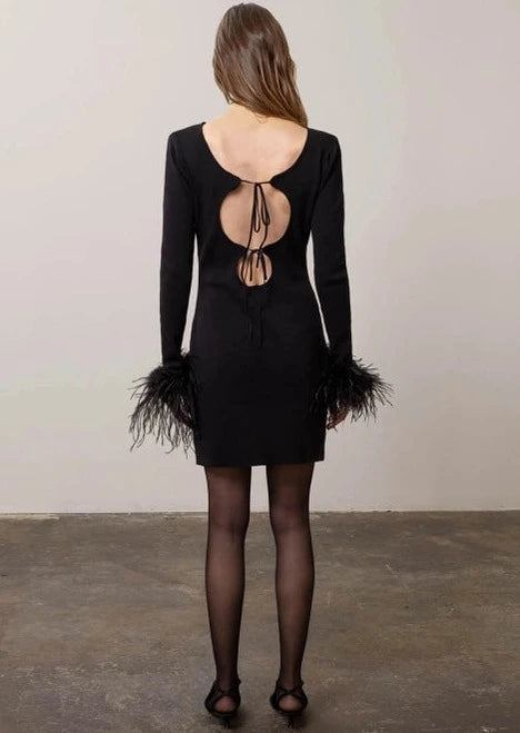Sacha Feather Mini Dress